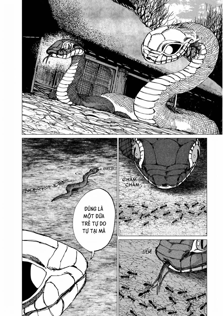 Đại Xà Phu Nhân: Chapter 22