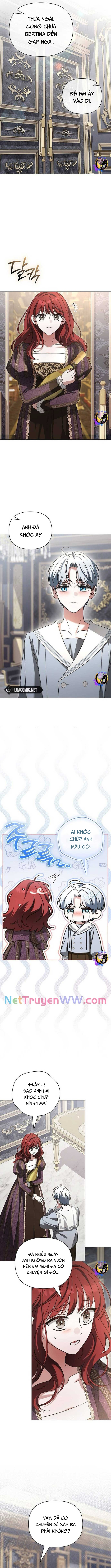 Dành Cho Nàng Juliet Xinh Đẹp: Chapter 25