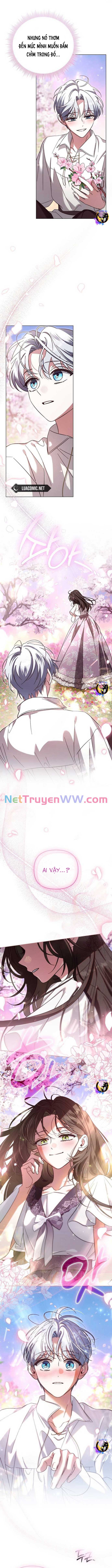 Dành Cho Nàng Juliet Xinh Đẹp: Chapter 25