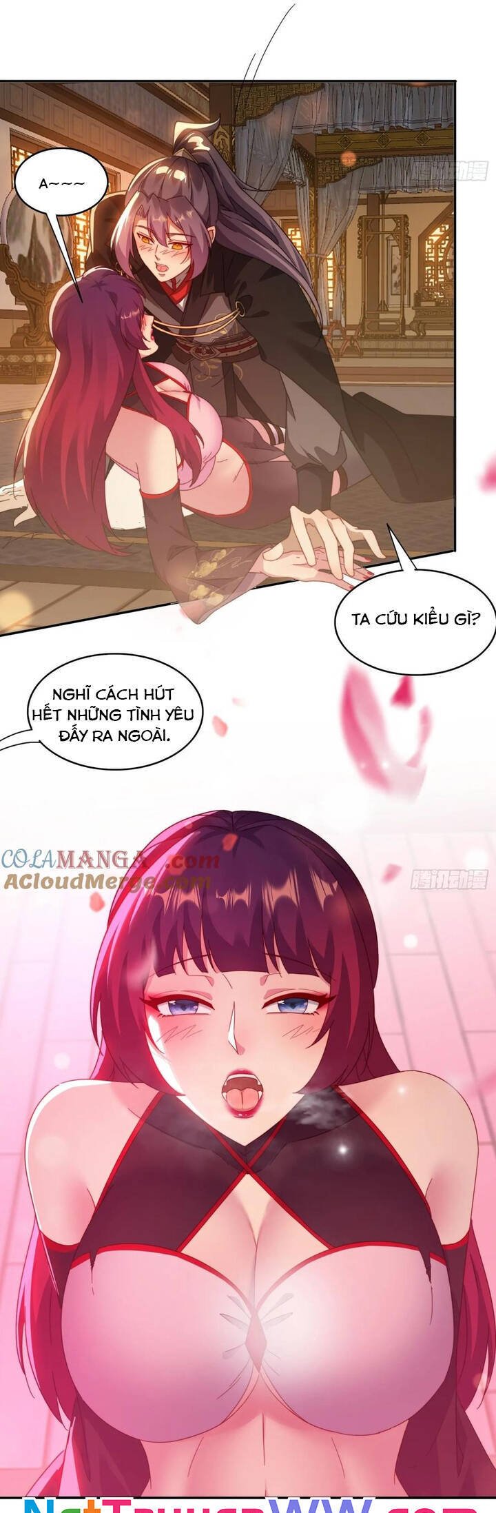 Đánh Dấu Chín Vạn Năm, Tiền Nhiệm Đạo Lữ Muốn Chém Chết Ta: Chapter 41