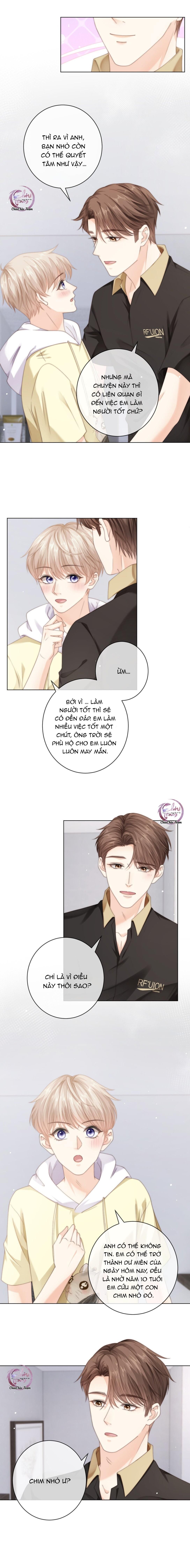 Đảo Thanh Mai: Chapter 100