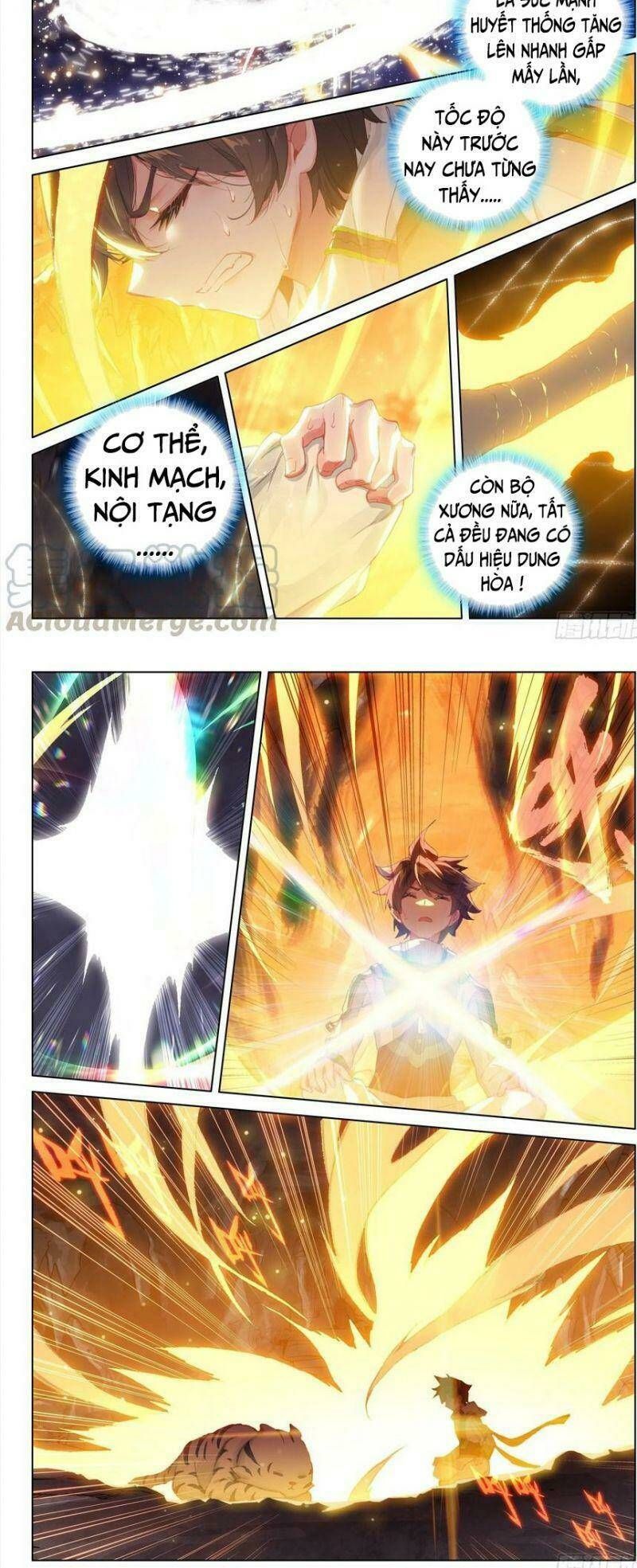 Đấu La Đại Lục 4: Chapter 256