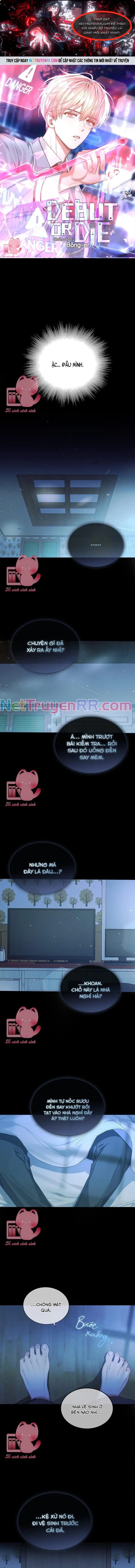 Debut Or Die: Chapter 1