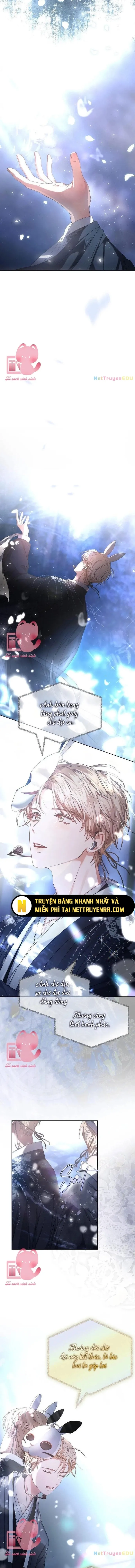 Debut Or Die: Chapter 45