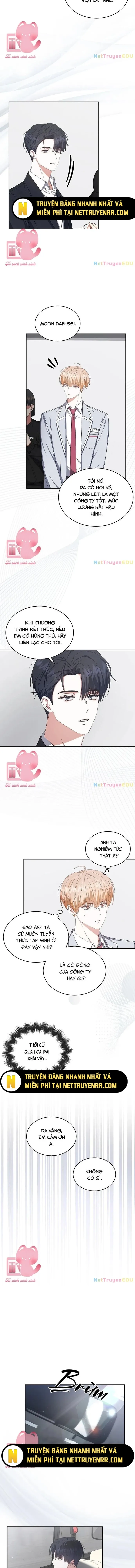 Debut Or Die: Chapter 52