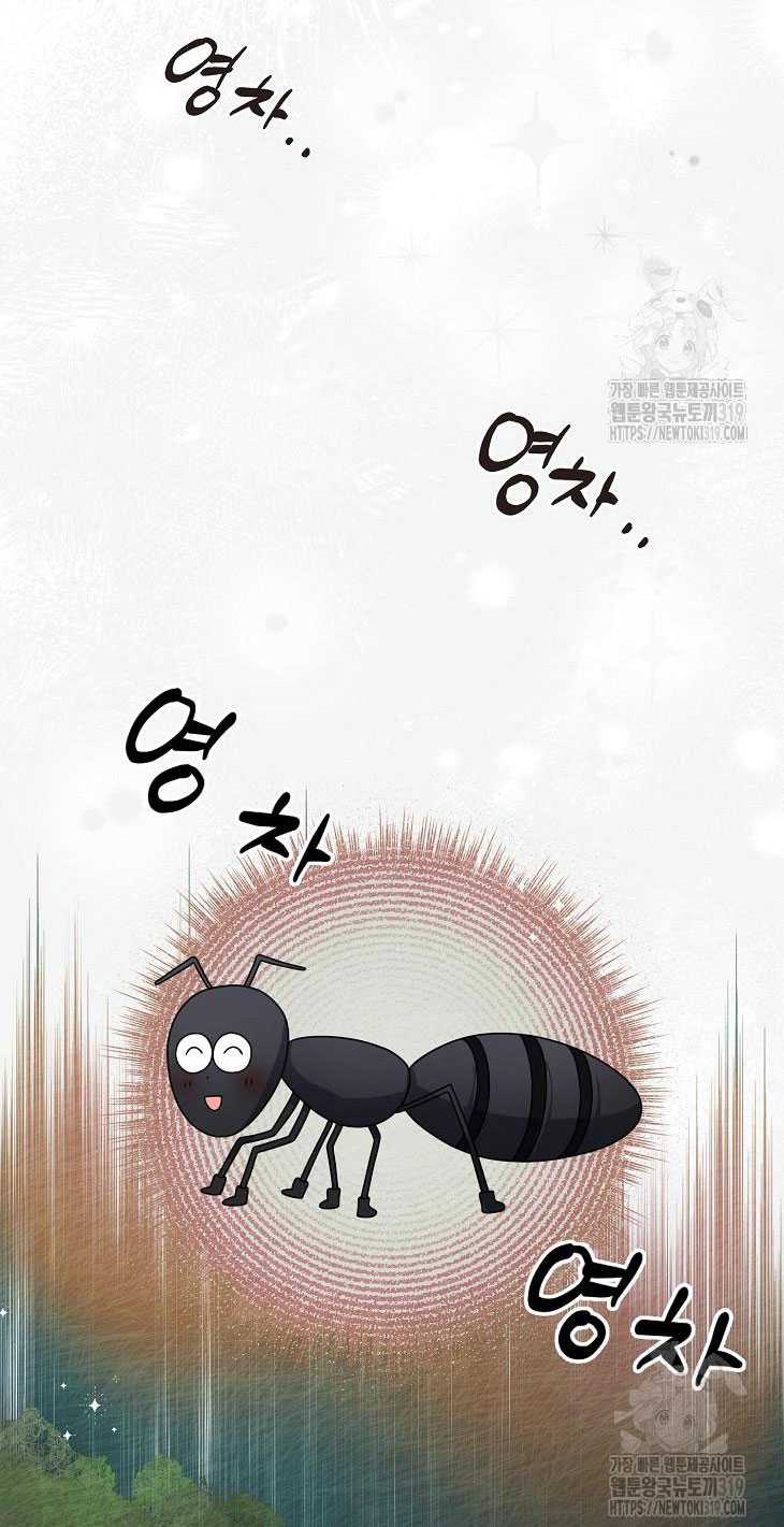 Debut Or Die: Chapter 55.2