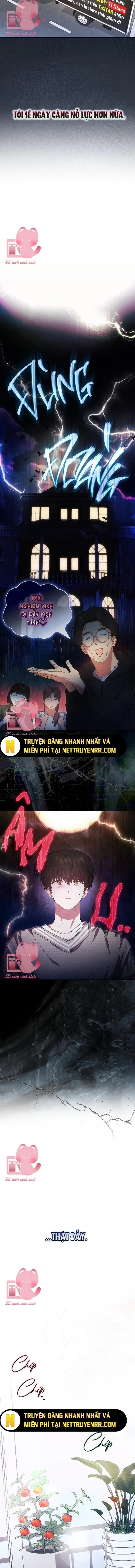 Debut Or Die: Chapter 65.5