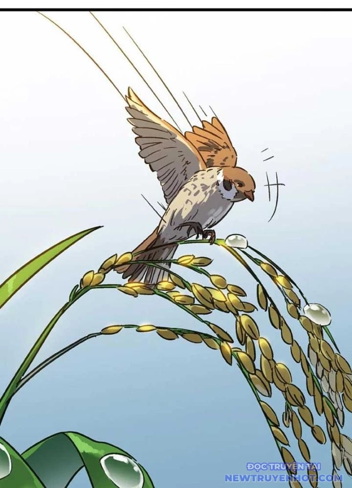 Dị Giới Kiến Tạo Tối Cường Thiếu Lâm Tự: Chapter 55