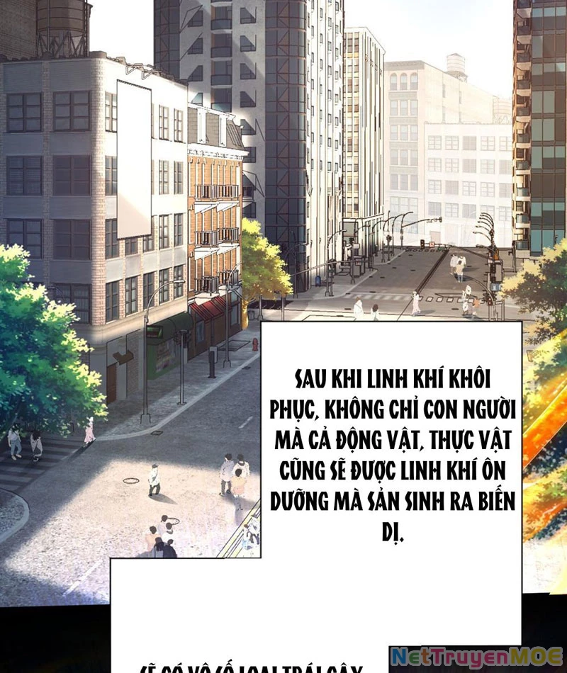 Dị Năng Trùng Sinh Ta Sớm Ở Đỉnh Cao: Chapter 1