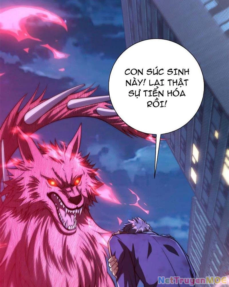 Dị Năng Trùng Sinh Ta Sớm Ở Đỉnh Cao: Chapter 11