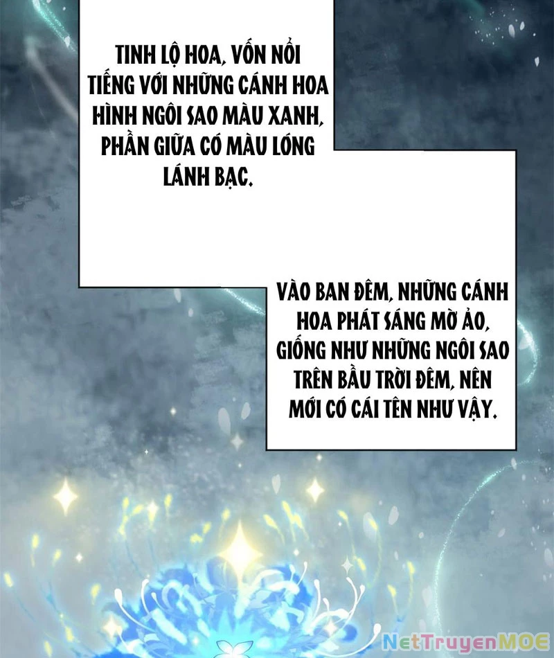 Dị Năng Trùng Sinh Ta Sớm Ở Đỉnh Cao: Chapter 2