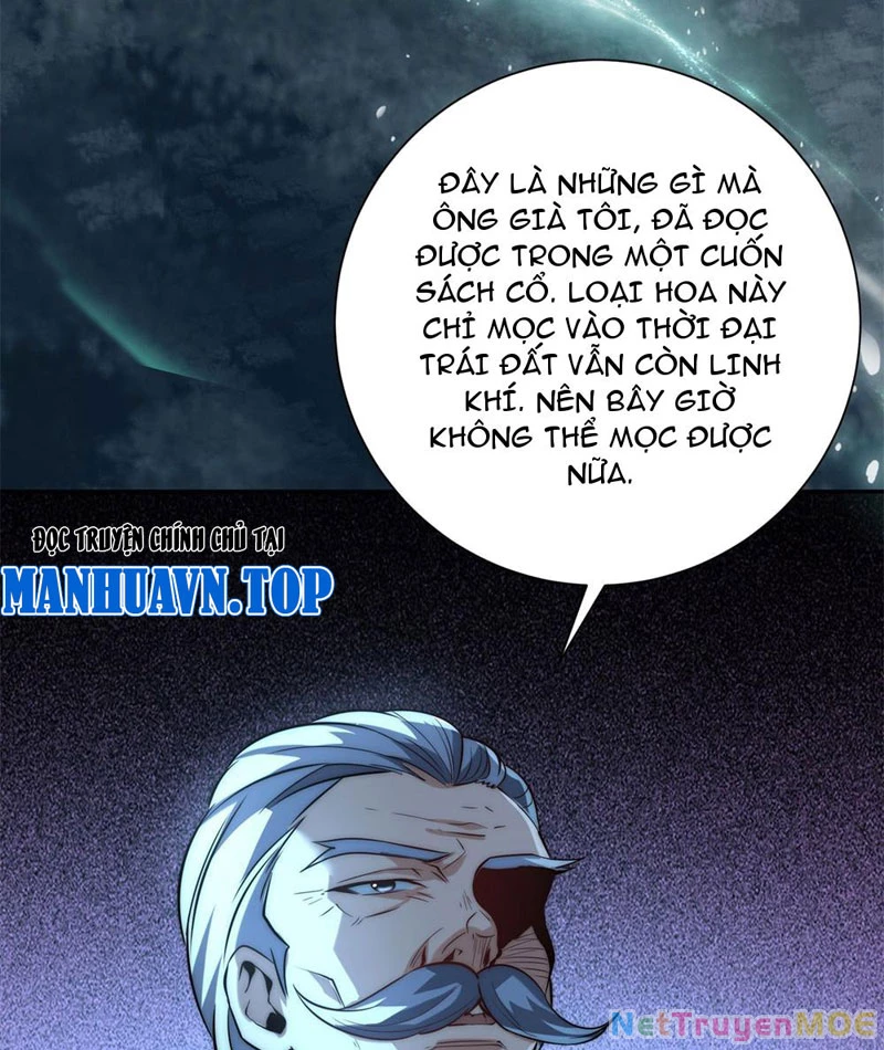 Dị Năng Trùng Sinh Ta Sớm Ở Đỉnh Cao: Chapter 2