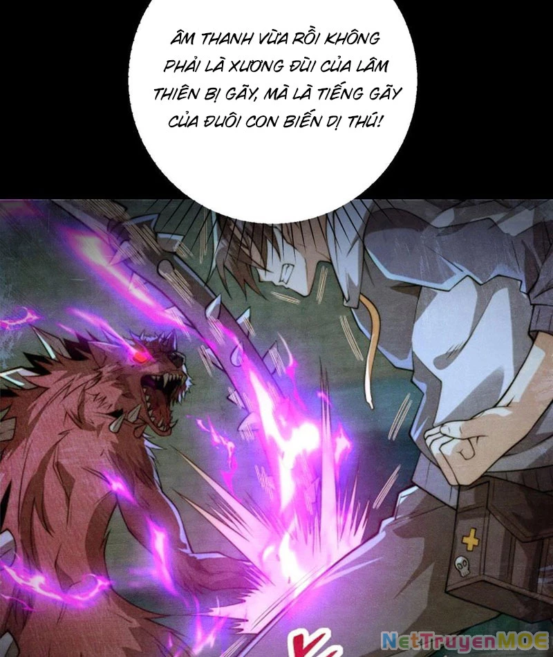 Dị Năng Trùng Sinh Ta Sớm Ở Đỉnh Cao: Chapter 3