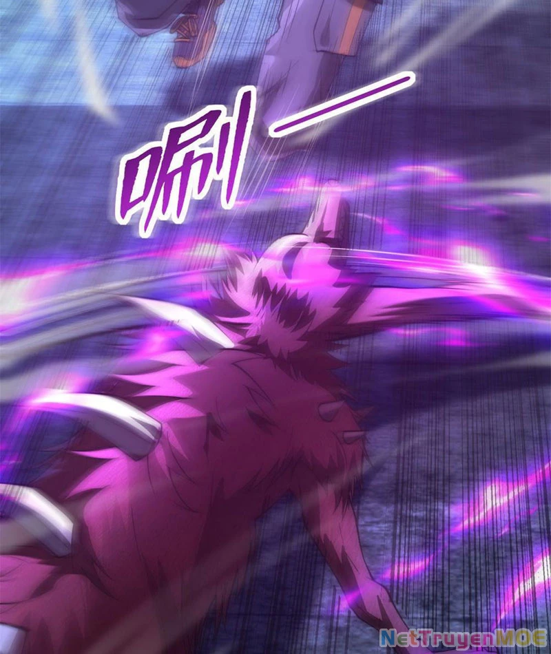 Dị Năng Trùng Sinh Ta Sớm Ở Đỉnh Cao: Chapter 3