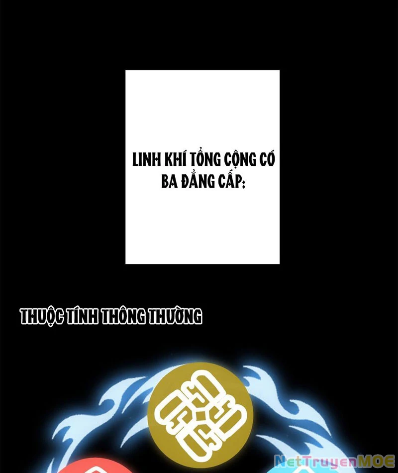 Dị Năng Trùng Sinh Ta Sớm Ở Đỉnh Cao: Chapter 4