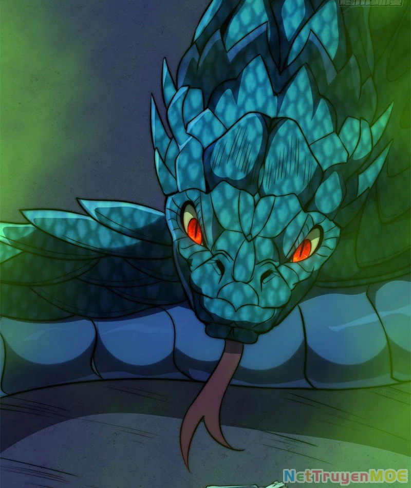 Dị Năng Trùng Sinh Ta Sớm Ở Đỉnh Cao: Chapter 5