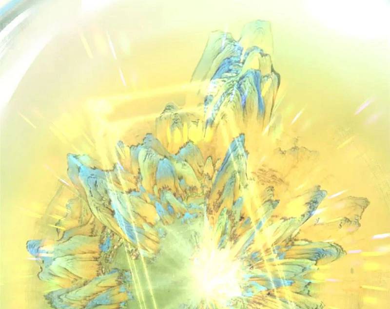 Đỉnh Cấp Khí Vận, Lặng Lẽ Tu Luyện Ngàn Năm: Chapter 189