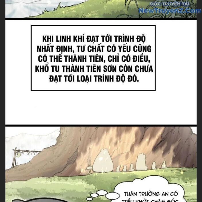 Đỉnh Cấp Khí Vận, Lặng Lẽ Tu Luyện Ngàn Năm: Chapter 212