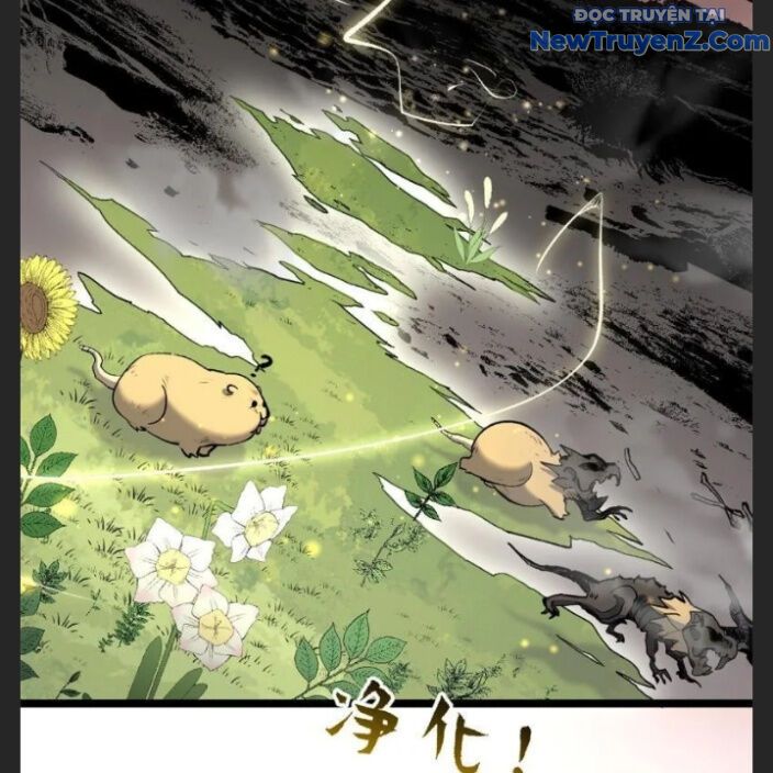 Đỉnh Cấp Khí Vận, Lặng Lẽ Tu Luyện Ngàn Năm: Chapter 212