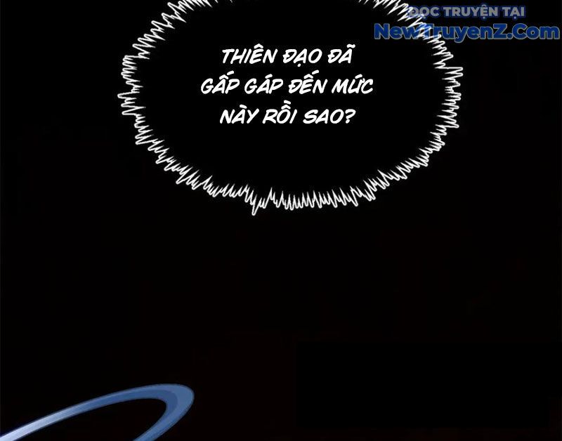 Đỉnh Cấp Khí Vận, Lặng Lẽ Tu Luyện Ngàn Năm: Chapter 213