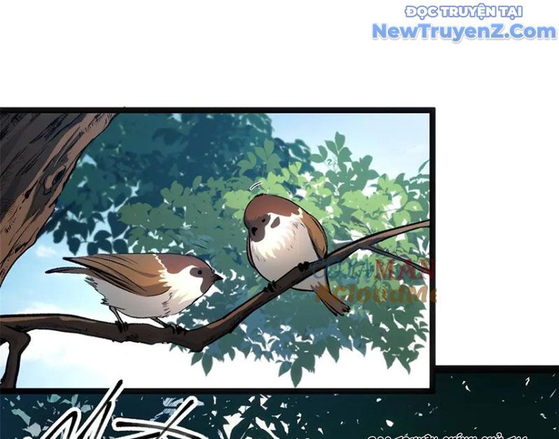 Đỉnh Cấp Khí Vận, Lặng Lẽ Tu Luyện Ngàn Năm: Chapter 213