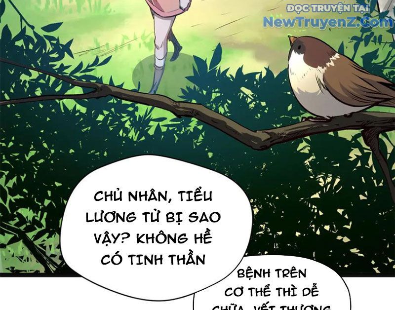 Đỉnh Cấp Khí Vận, Lặng Lẽ Tu Luyện Ngàn Năm: Chapter 213
