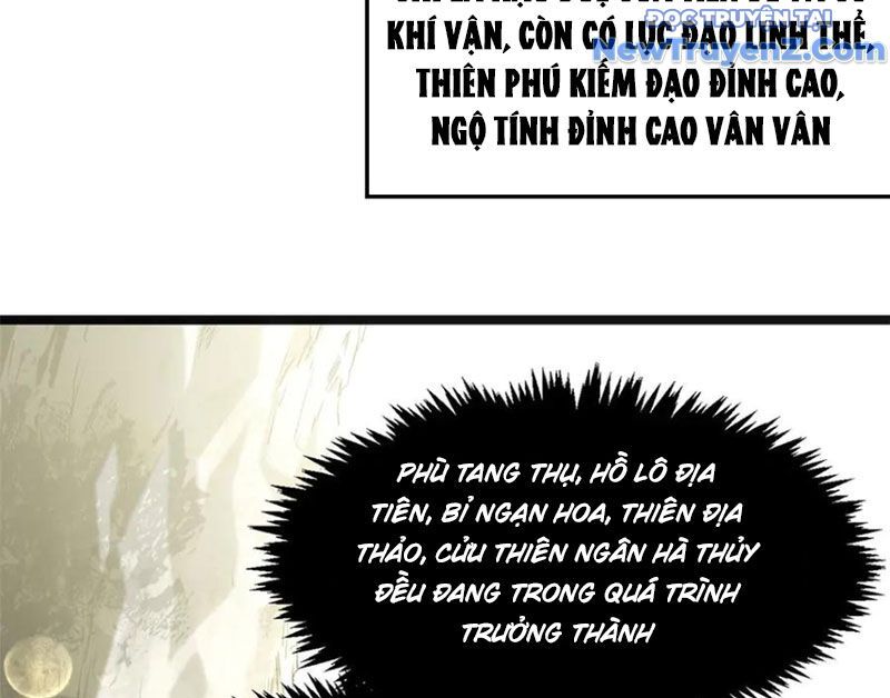 Đỉnh Cấp Khí Vận, Lặng Lẽ Tu Luyện Ngàn Năm: Chapter 213