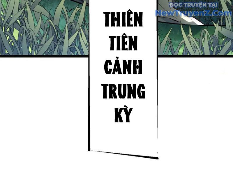 Đỉnh Cấp Khí Vận, Lặng Lẽ Tu Luyện Ngàn Năm: Chapter 213