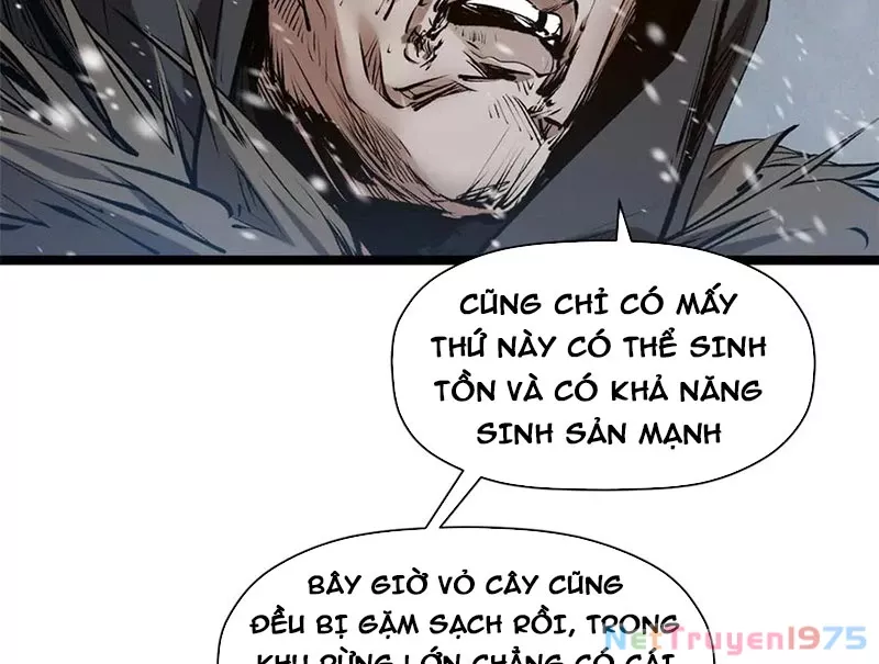 Đỉnh Cấp Khí Vận, Lặng Lẽ Tu Luyện Ngàn Năm: Chapter 217