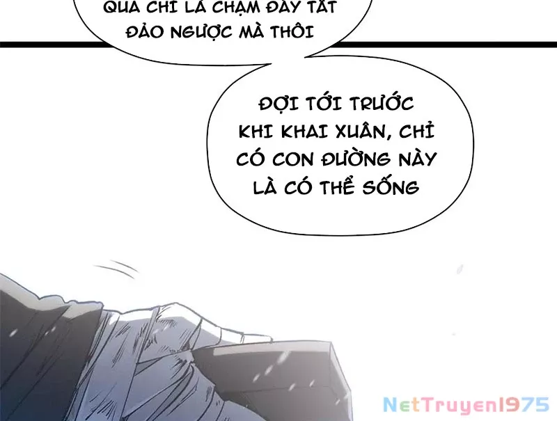 Đỉnh Cấp Khí Vận, Lặng Lẽ Tu Luyện Ngàn Năm: Chapter 217