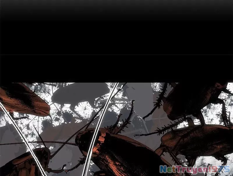 Đỉnh Cấp Khí Vận, Lặng Lẽ Tu Luyện Ngàn Năm: Chapter 217