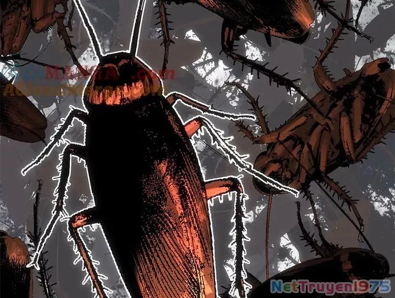 Đỉnh Cấp Khí Vận, Lặng Lẽ Tu Luyện Ngàn Năm: Chapter 217