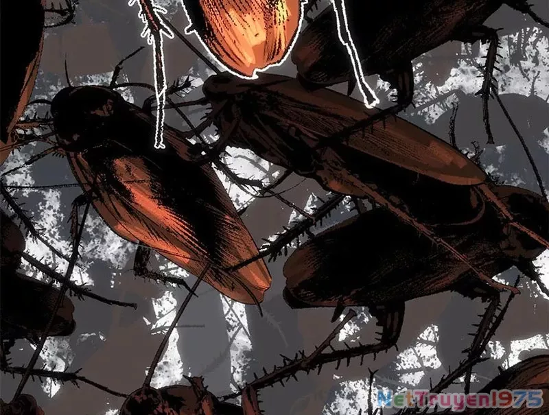 Đỉnh Cấp Khí Vận, Lặng Lẽ Tu Luyện Ngàn Năm: Chapter 217