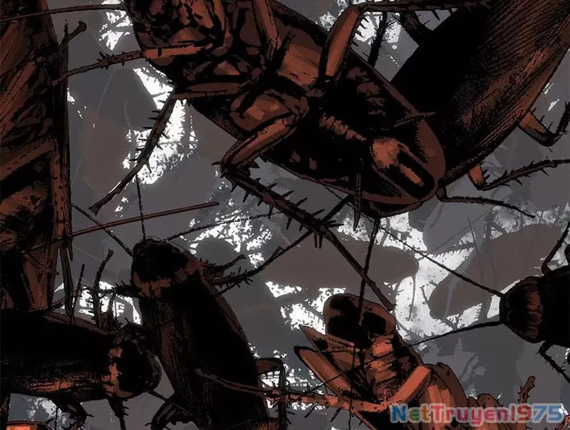 Đỉnh Cấp Khí Vận, Lặng Lẽ Tu Luyện Ngàn Năm: Chapter 217