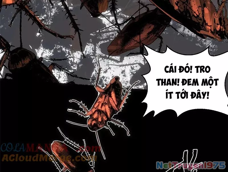 Đỉnh Cấp Khí Vận, Lặng Lẽ Tu Luyện Ngàn Năm: Chapter 217