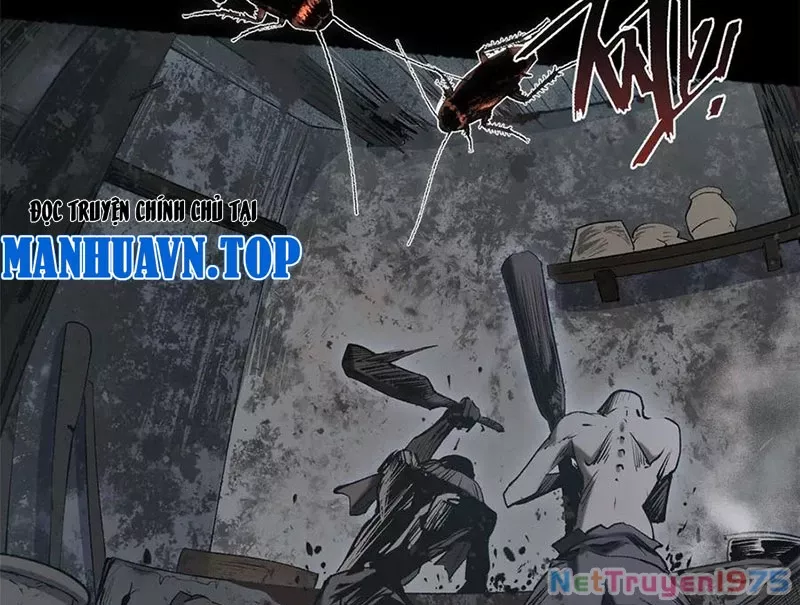 Đỉnh Cấp Khí Vận, Lặng Lẽ Tu Luyện Ngàn Năm: Chapter 217