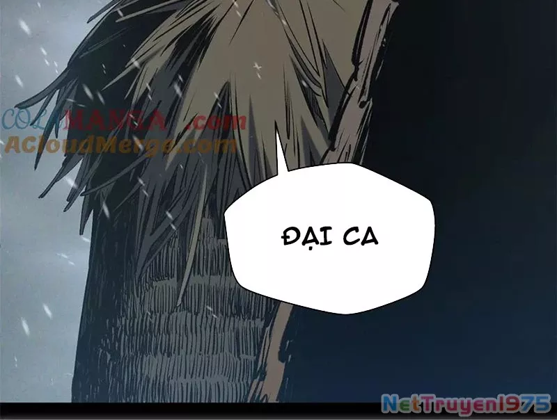 Đỉnh Cấp Khí Vận, Lặng Lẽ Tu Luyện Ngàn Năm: Chapter 217