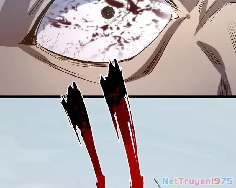 Đỉnh Cấp Khí Vận, Lặng Lẽ Tu Luyện Ngàn Năm: Chapter 217