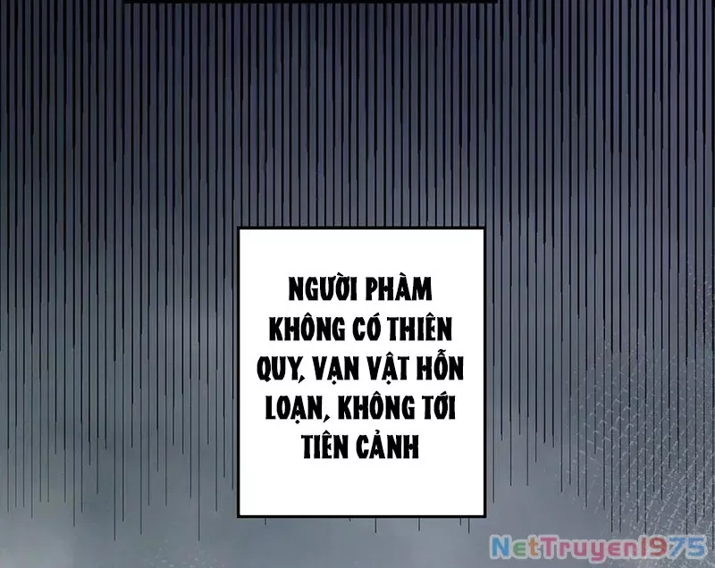 Đỉnh Cấp Khí Vận, Lặng Lẽ Tu Luyện Ngàn Năm: Chapter 217