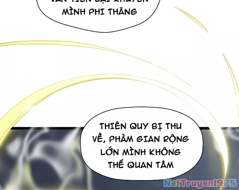 Đỉnh Cấp Khí Vận, Lặng Lẽ Tu Luyện Ngàn Năm: Chapter 217