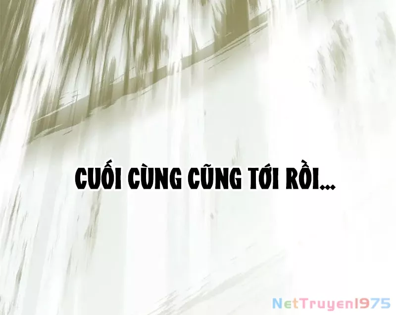 Đỉnh Cấp Khí Vận, Lặng Lẽ Tu Luyện Ngàn Năm: Chapter 217