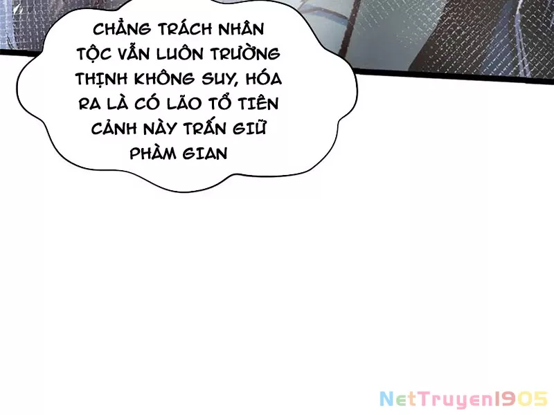 Đỉnh Cấp Khí Vận, Lặng Lẽ Tu Luyện Ngàn Năm: Chapter 219