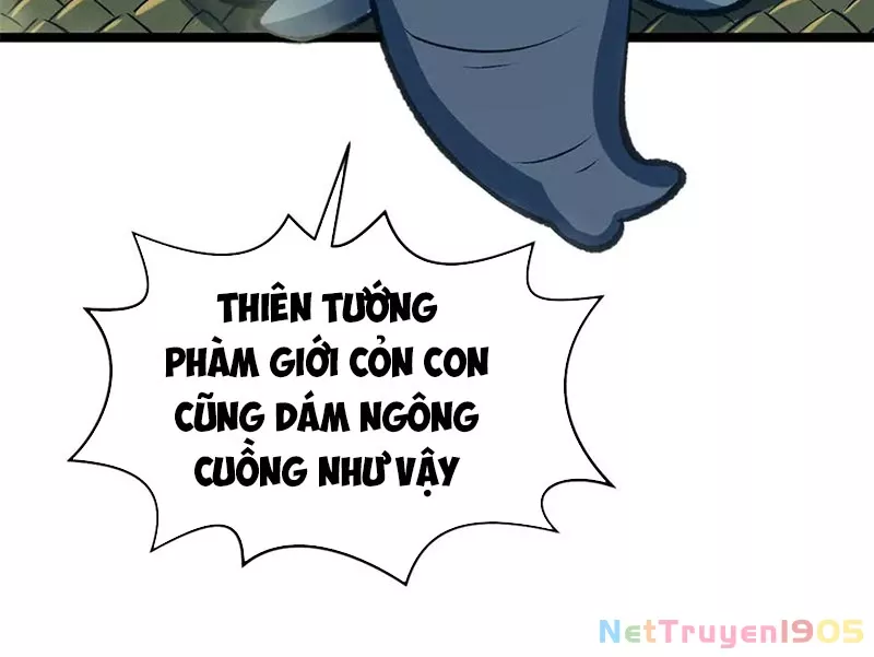 Đỉnh Cấp Khí Vận, Lặng Lẽ Tu Luyện Ngàn Năm: Chapter 219