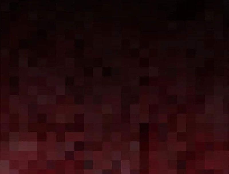 Đỉnh Cấp Khí Vận, Lặng Lẽ Tu Luyện Ngàn Năm: Chapter 220