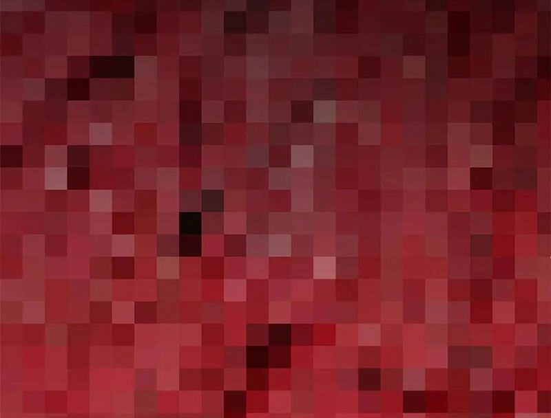 Đỉnh Cấp Khí Vận, Lặng Lẽ Tu Luyện Ngàn Năm: Chapter 220