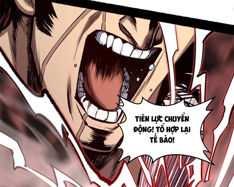 Đỉnh Cấp Khí Vận, Lặng Lẽ Tu Luyện Ngàn Năm: Chapter 222