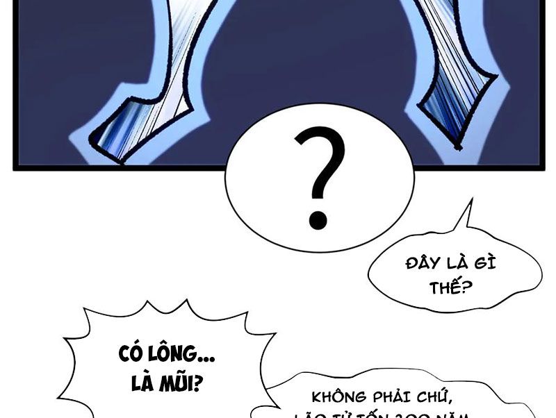 Đỉnh Cấp Khí Vận, Lặng Lẽ Tu Luyện Ngàn Năm: Chapter 226