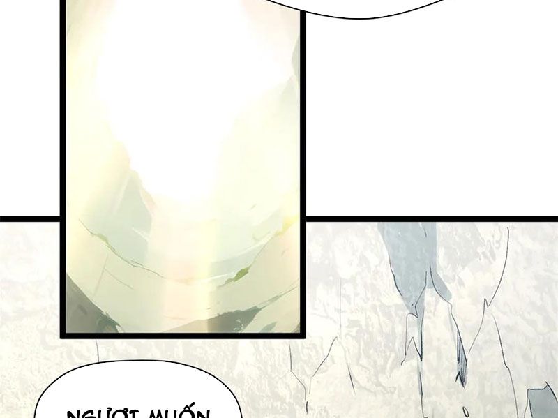 Đỉnh Cấp Khí Vận, Lặng Lẽ Tu Luyện Ngàn Năm: Chapter 226