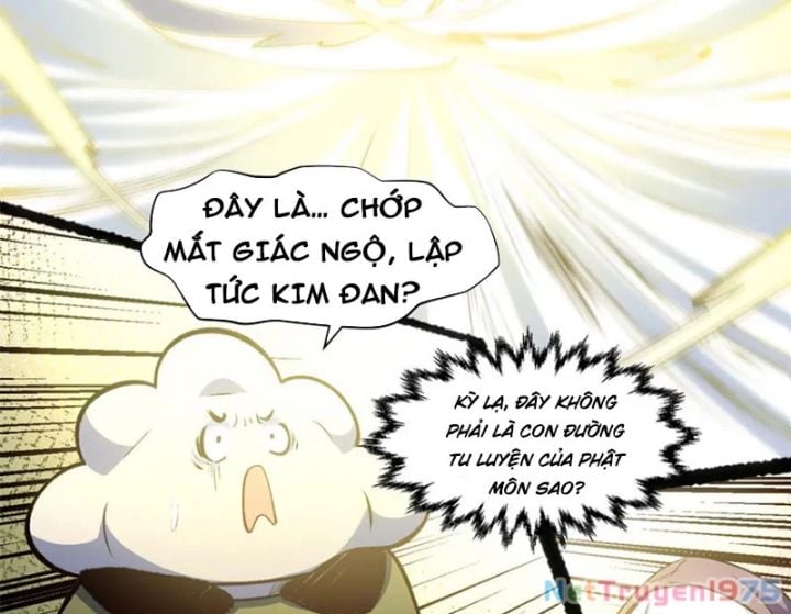 Đỉnh Cấp Khí Vận, Lặng Lẽ Tu Luyện Ngàn Năm: Chapter 256