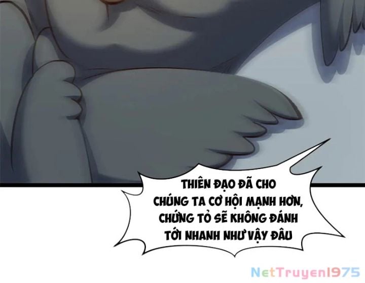 Đỉnh Cấp Khí Vận, Lặng Lẽ Tu Luyện Ngàn Năm: Chapter 256